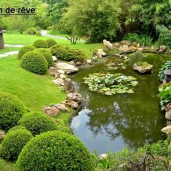 Bassin et jardin de rêve à lausanne,