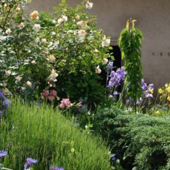 CONCEPT NATURE, paysagiste conseil, créateur de jardin sur mesure