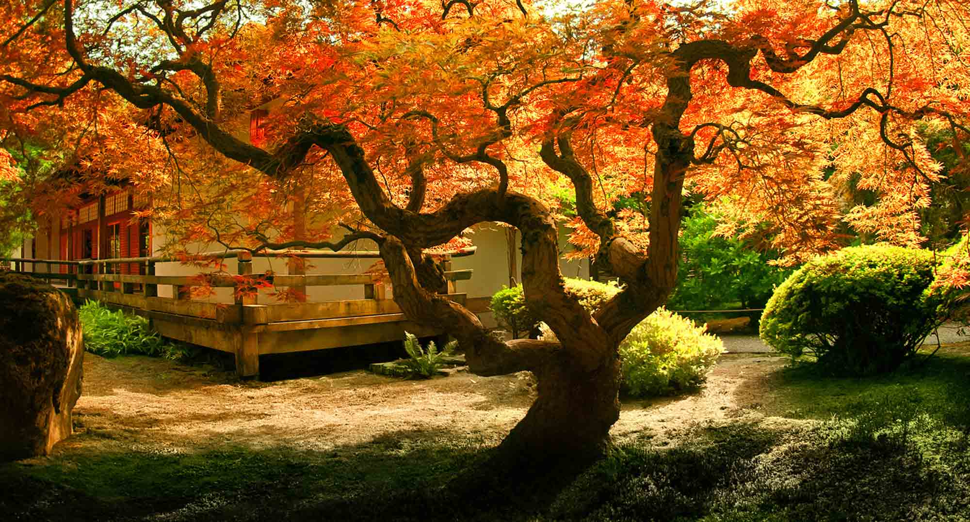 CONCEPT NATURE, paysagiste conseil, créateur de jardin sur mesure