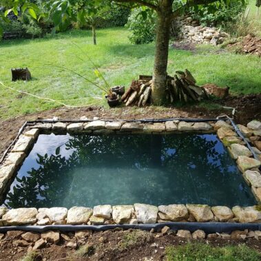 Bassins - CONCEPT NATURE paysagiste