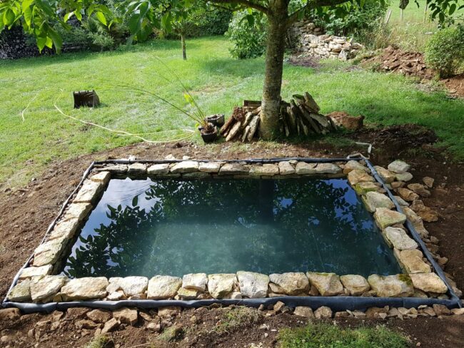 Bassins - CONCEPT NATURE paysagiste