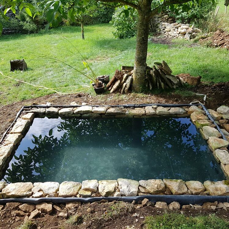 Bassins - CONCEPT NATURE paysagiste