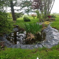 CONCEPT NATURE, paysagiste conseil, créateur de jardin sur mesure