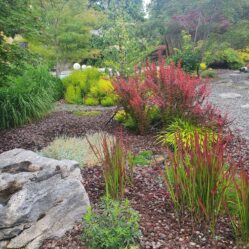 CONCEPT NATURE, paysagiste conseil, créateur de jardin sur mesure