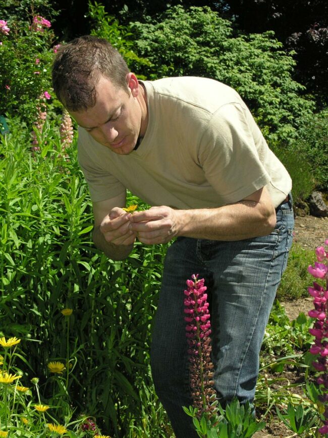 L'agence CONCEPT NATURE paysagiste