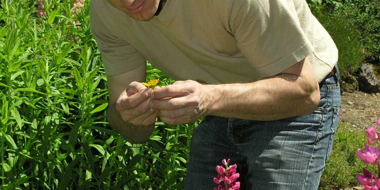 L'agence CONCEPT NATURE paysagiste