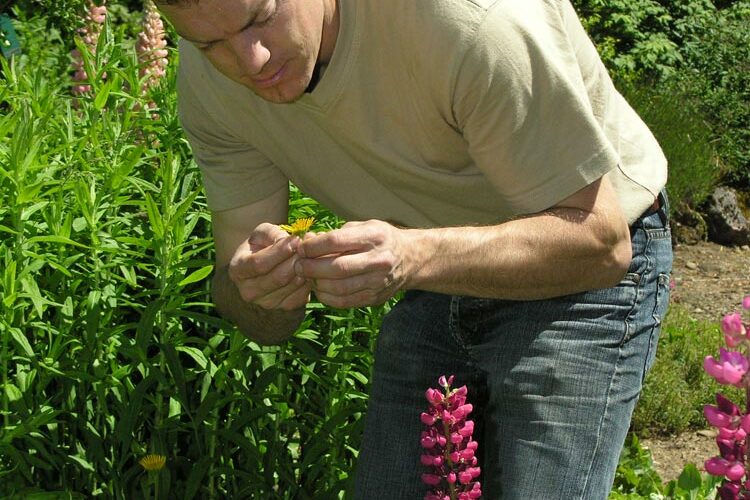 L'agence CONCEPT NATURE paysagiste