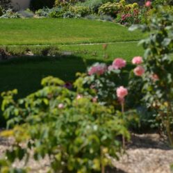 CONCEPT NATURE, paysagiste conseil, créateur de jardin sur mesure