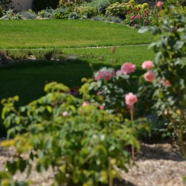 CONCEPT NATURE, paysagiste conseil, créateur de jardin sur mesure