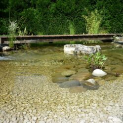 Bassins - CONCEPT NATURE paysagiste
