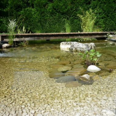 Bassins - CONCEPT NATURE paysagiste
