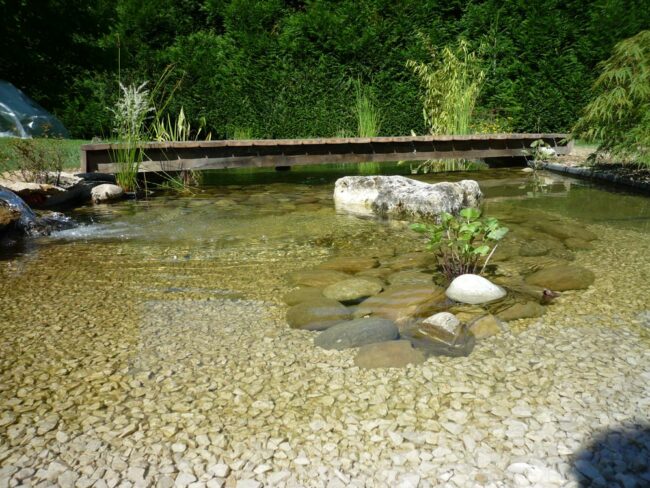 Bassins - CONCEPT NATURE paysagiste