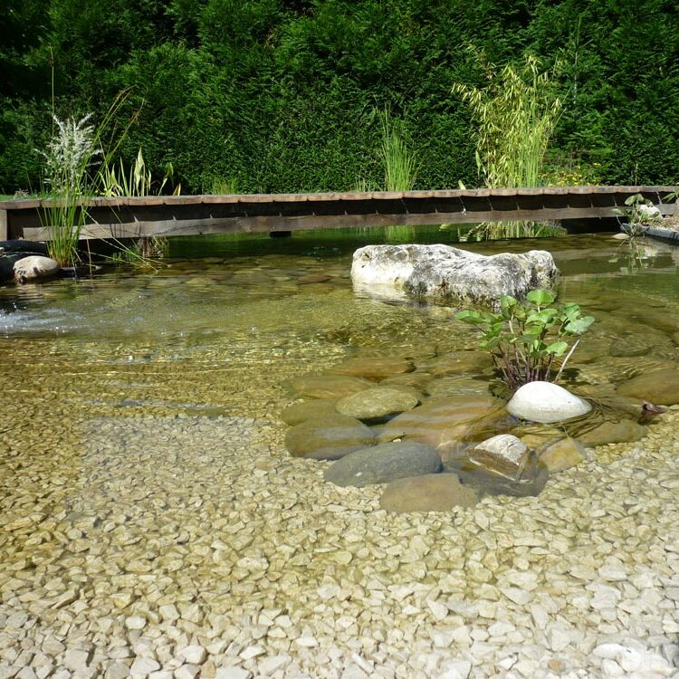 Bassins - CONCEPT NATURE paysagiste